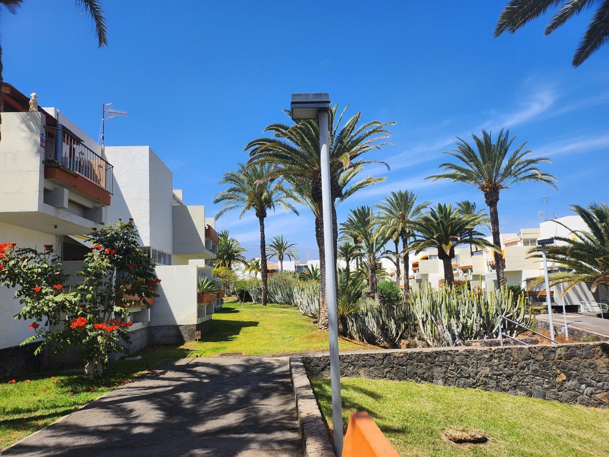 Tenerife Sunshine South Apartment Beach By La Ballena Arona  Extérieur photo