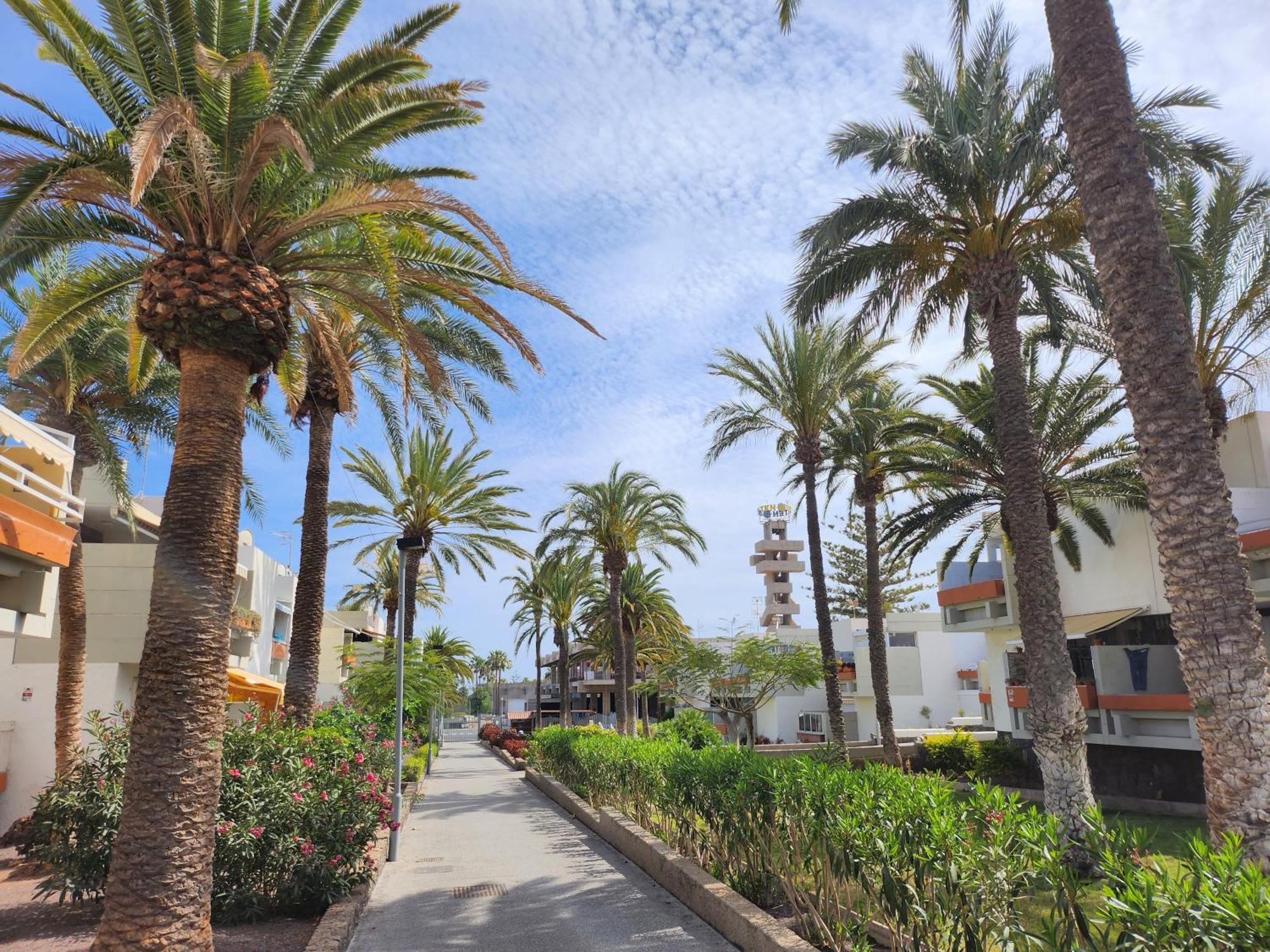 Tenerife Sunshine South Apartment Beach By La Ballena Arona  Extérieur photo