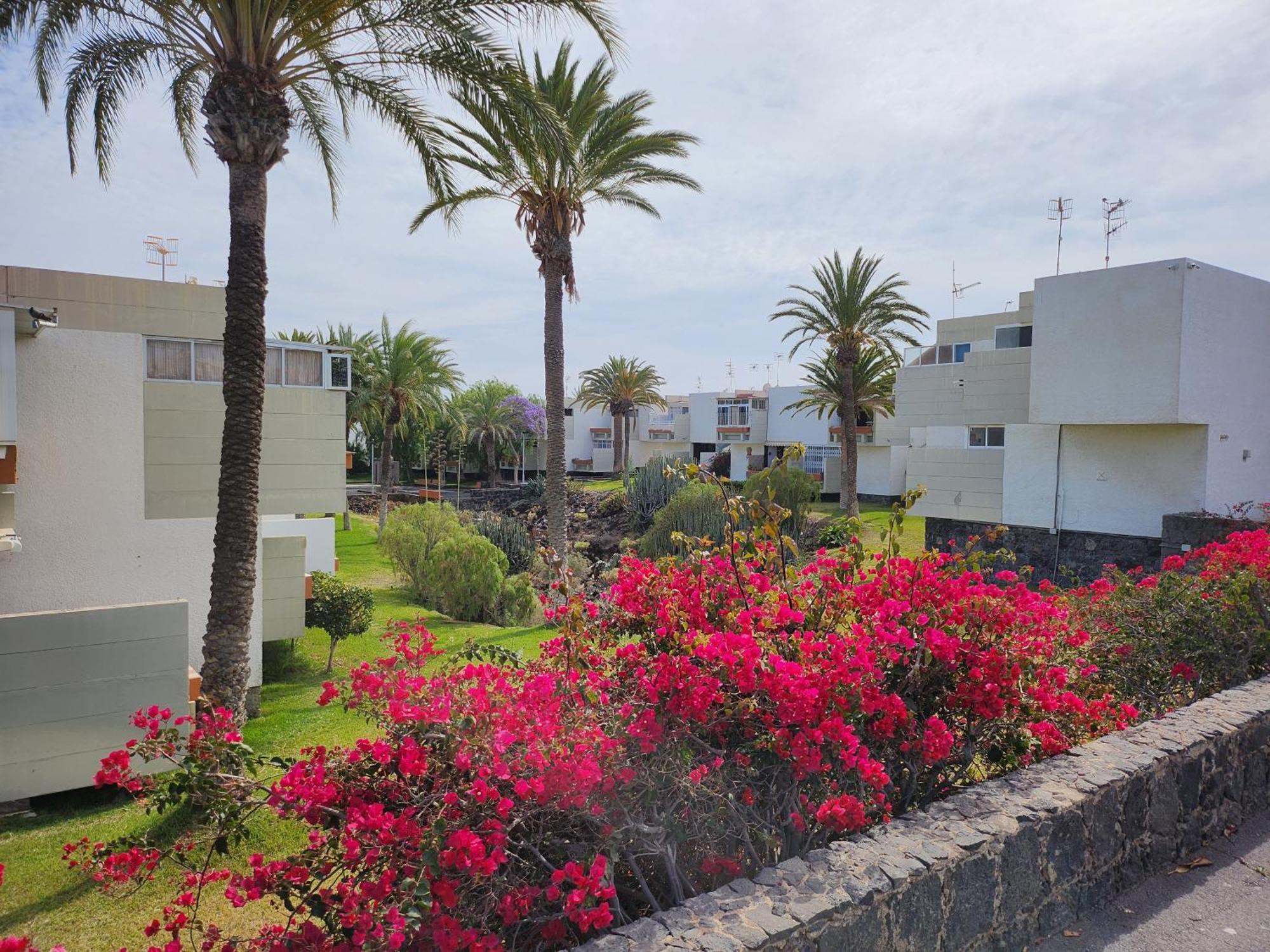Tenerife Sunshine South Apartment Beach By La Ballena Arona  Extérieur photo